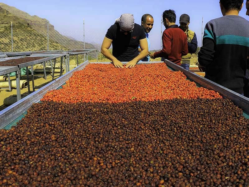 イエメン　モカハラズ　シャムス　500ｇ