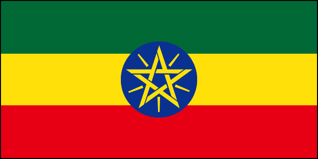 エチオピア　グジ　ジマ　G1 ウォッシュド　200ｇ